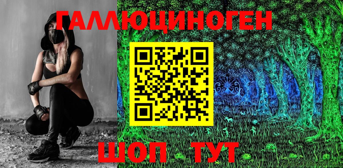 Рубцовск  Галлюциногенные грибы Psilocybine cubensis  Вход с VPN 